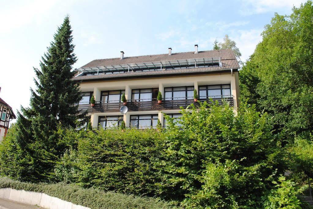 Panorama Hotel Pension Frohnau Bad Sachsa Exterior photo